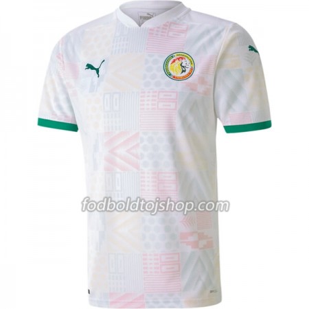 Senegal Hjemmebanetrøje 2020-21 S/S